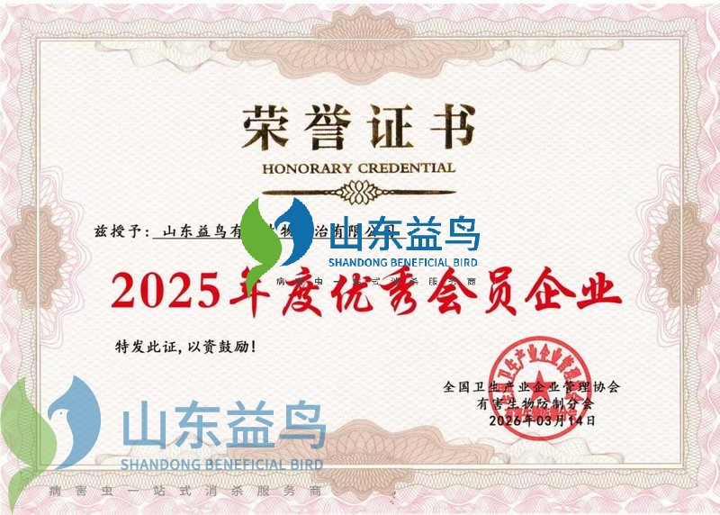 1783146855196534.jpg 2025年荣誉证书.jpg