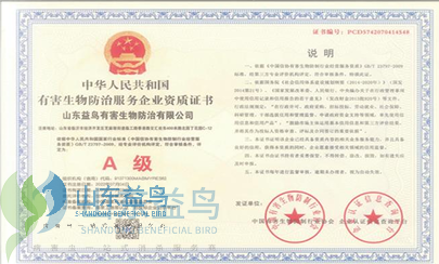 1783247174132464.png A级_水印.png
