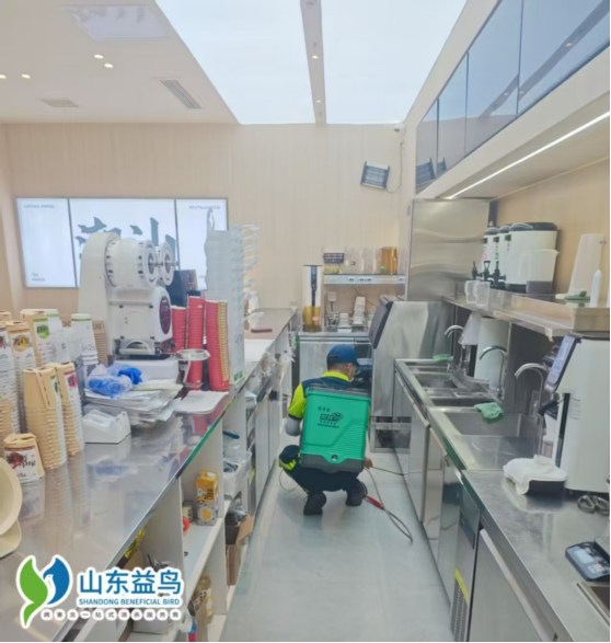 1785055894103537.png 餐饮蟑螂消杀.png