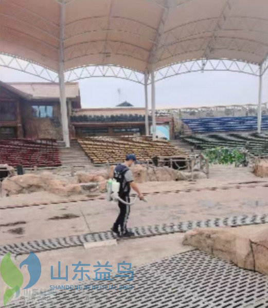 1785057496365012.jpg 图片3_水印.jpg