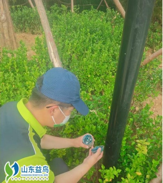 图片19.jpg