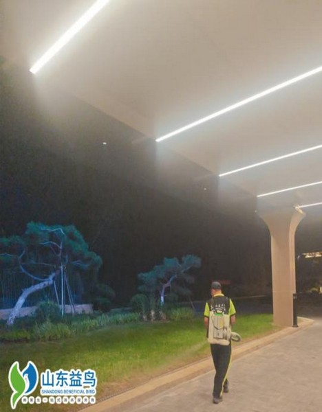临沂政企事业单位病媒生物防制服务白皮书 | 山东益鸟虫控全域服务方案
