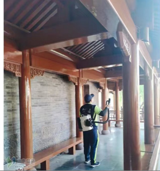 山东益鸟虫控文旅景区与古建筑白蚁专项防治服务介绍