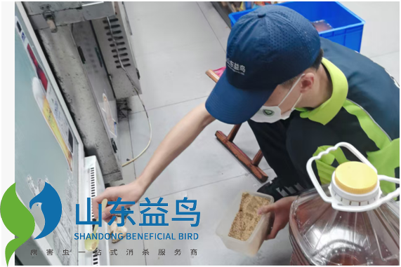 1787124459187970.png 微信图片_20260712171648_394_16_水印.png