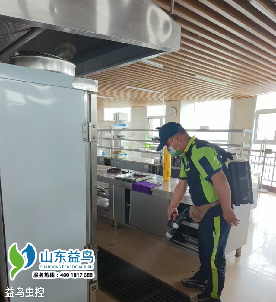 2026临沂餐饮消杀案例：连锁砂锅店鼠蟑治理全流程解析